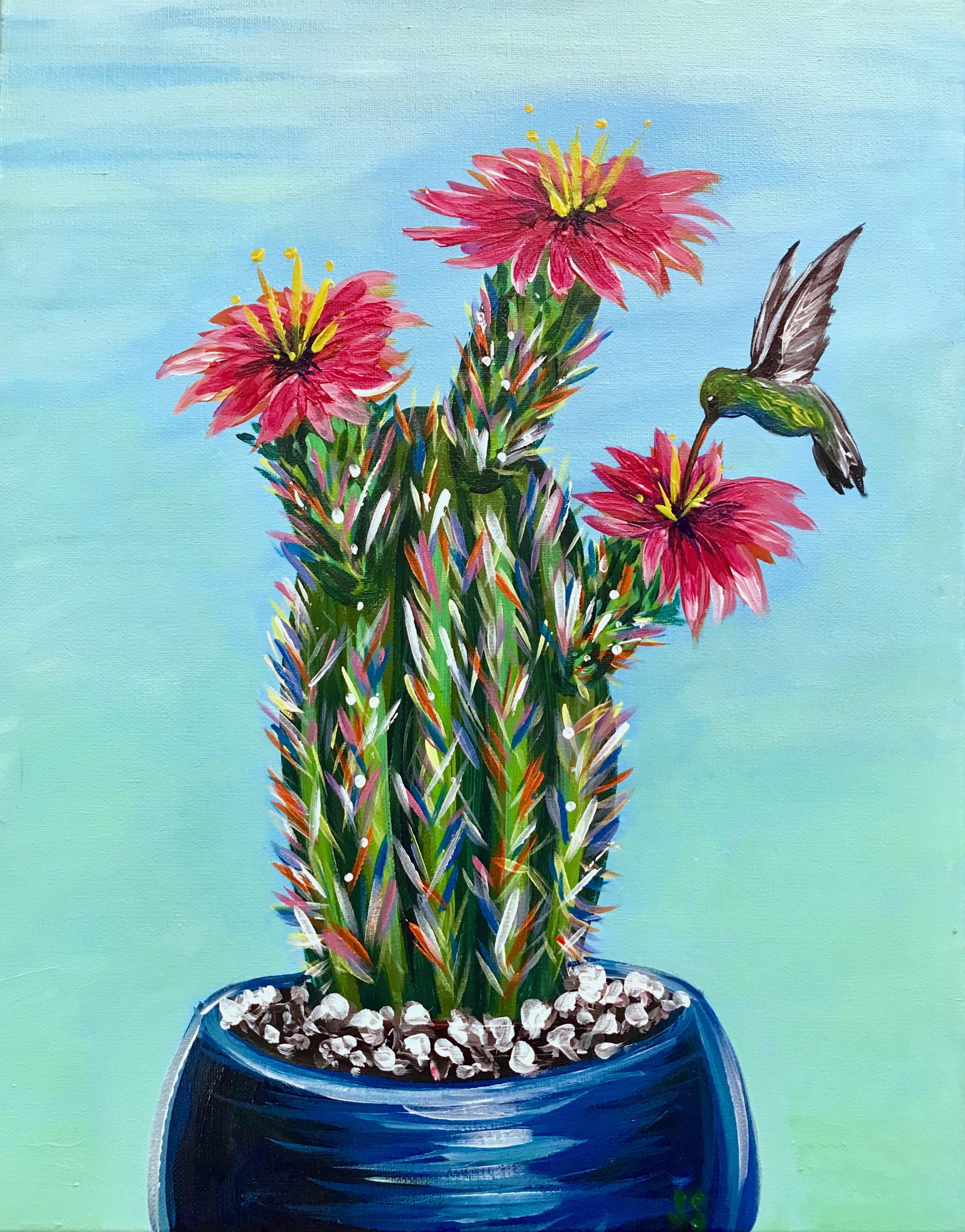 Cactus & Hummingbird